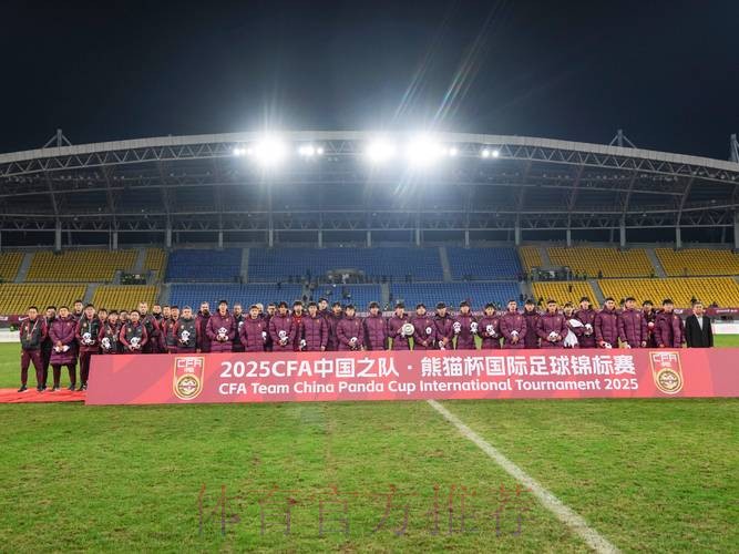 2017年熊猫杯国际青少年足球发展研讨会召开 2017年熊猫杯国际青少年足球发展研讨会召开